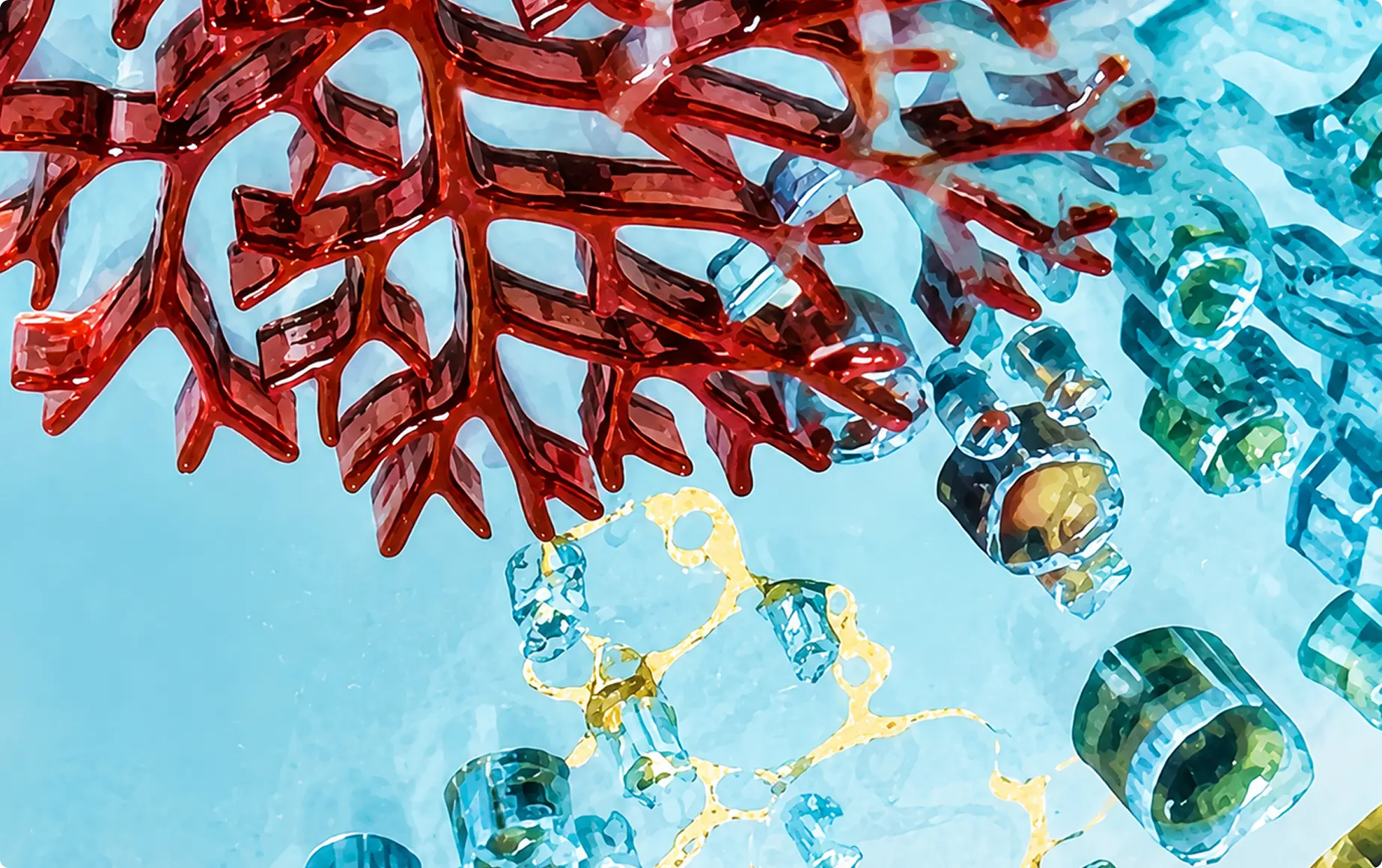 Illustration d’un corail rouge sur fond bleu aquarellé, parsemé de formes translucides — Maison Satab